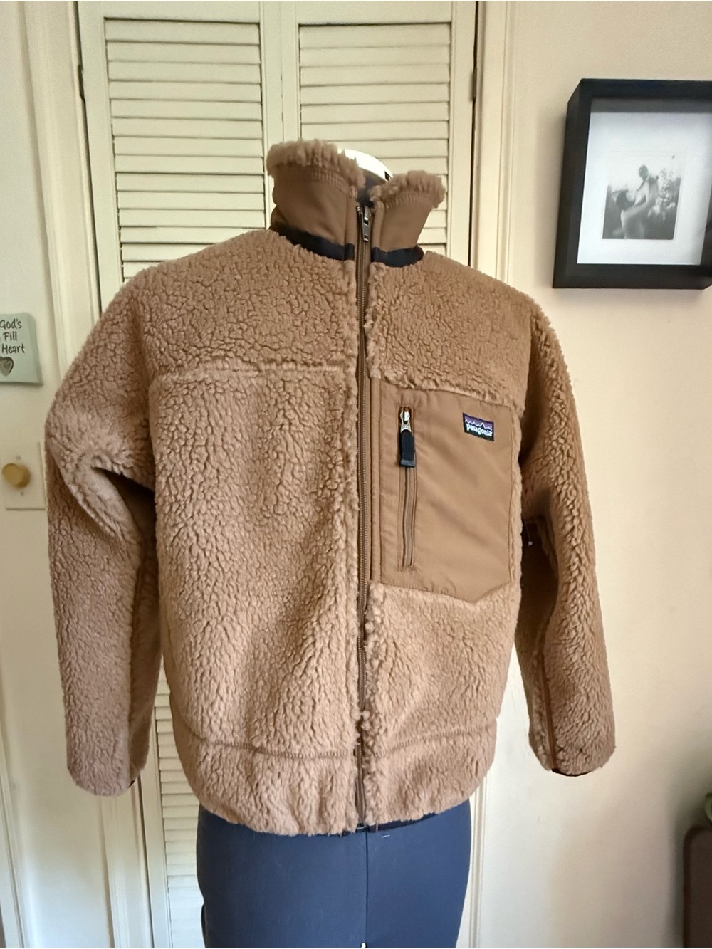 Patagonia Rare Kids Classic Retro-X Windproof Sherpa Jacket Unisex Medium (10)